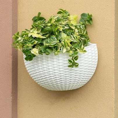 BloomWall™ - Blanc - Mon jardin durable
