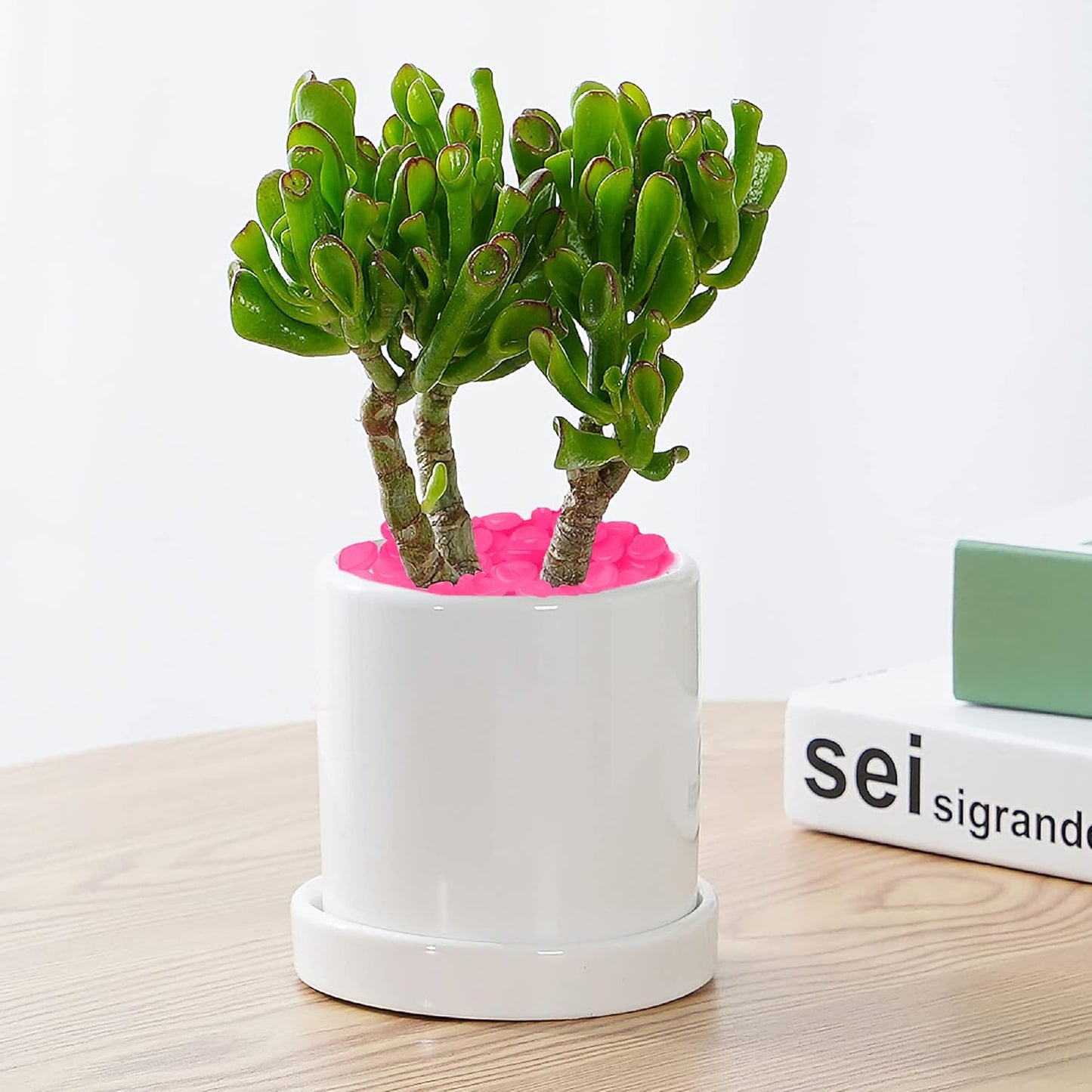 GlowStones™ - Rose - Mon jardin durable