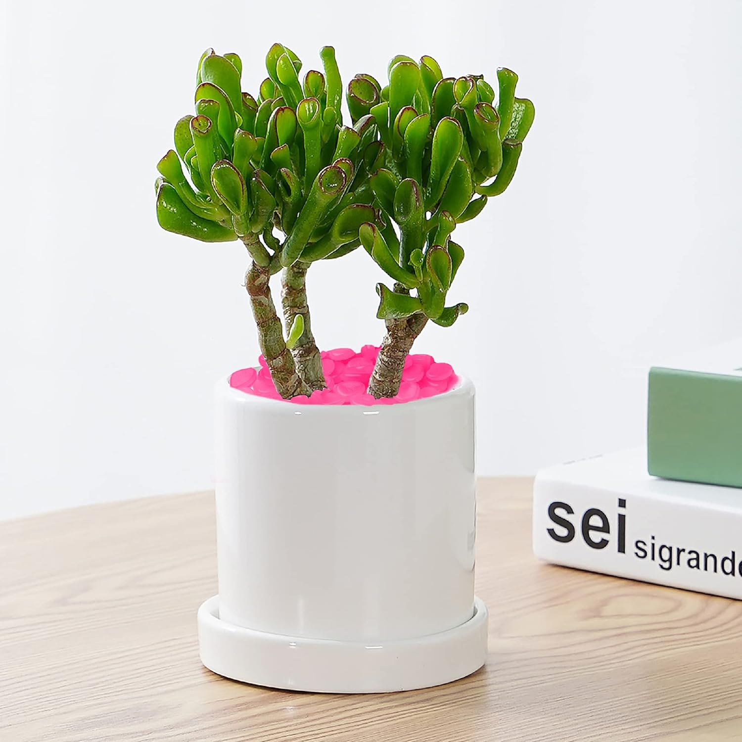 GlowStones™ - Rose - Mon jardin durable