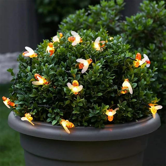 Guirlande lumineuse solaire
