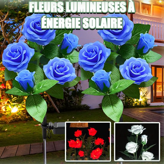 Lanterne de jardin solaire - Mon jardin durable