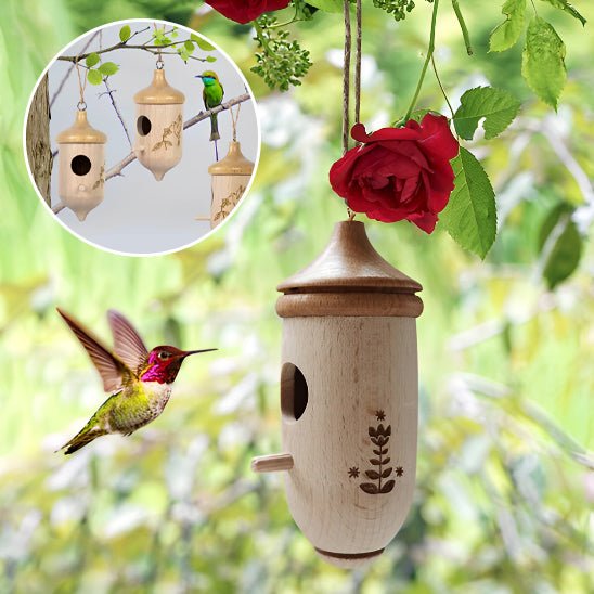 Maison de Colibri en Bois - Mon jardin durable