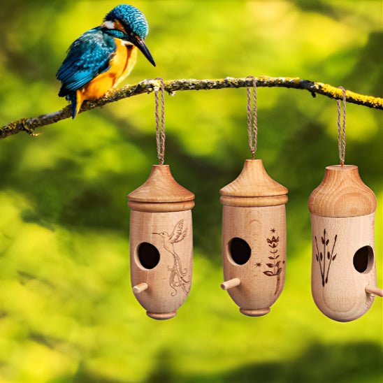 Maison de Colibri en Bois - Mon jardin durable