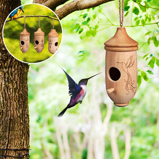 Maison de Colibri en Bois - Mon jardin durable