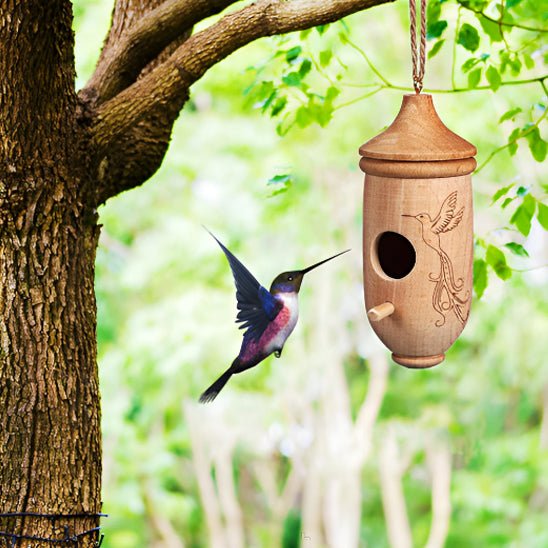 Maison de Colibri en Bois - Mon jardin durable