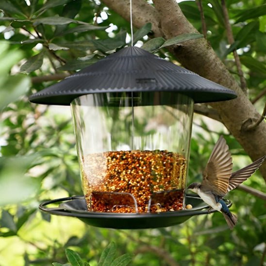 Mangeoire à Oiseaux à Suspendre - Mon jardin durable